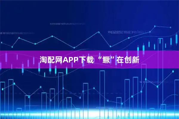 淘配网APP下载 “鳜”在创新