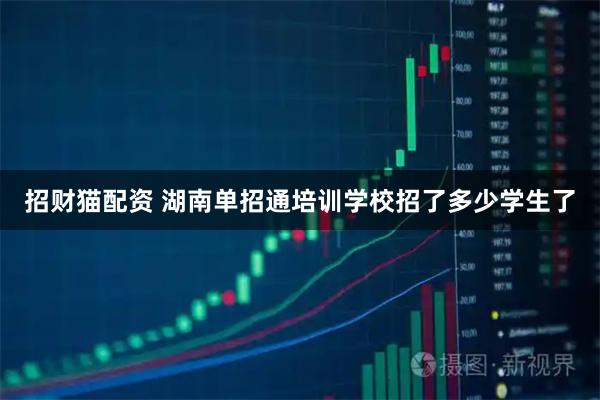 招财猫配资 湖南单招通培训学校招了多少学生了