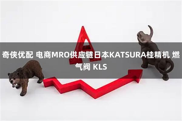 奇侠优配 电商MRO供应链日本KATSURA桂精机 燃气阀 KLS