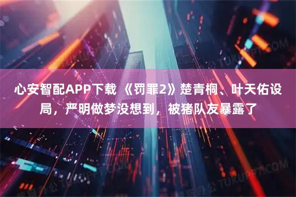 心安智配APP下载 《罚罪2》楚青桐、叶天佑设局，严明做梦没想到，被猪队友暴露了